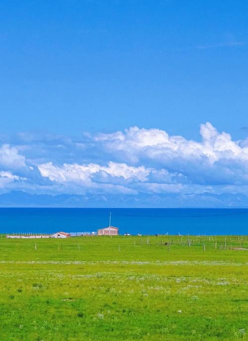 《服务器托管：你的业务“大脑”如何安全高效运转？》